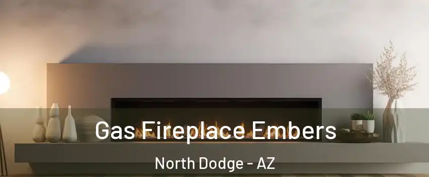 Gas Fireplace Embers North Dodge - AZ