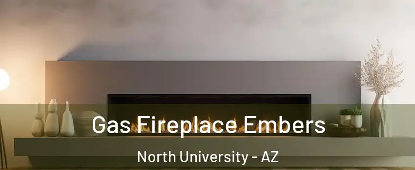 Gas Fireplace Embers North University - AZ
