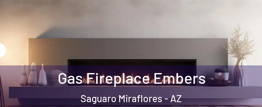Gas Fireplace Embers Saguaro Miraflores - AZ