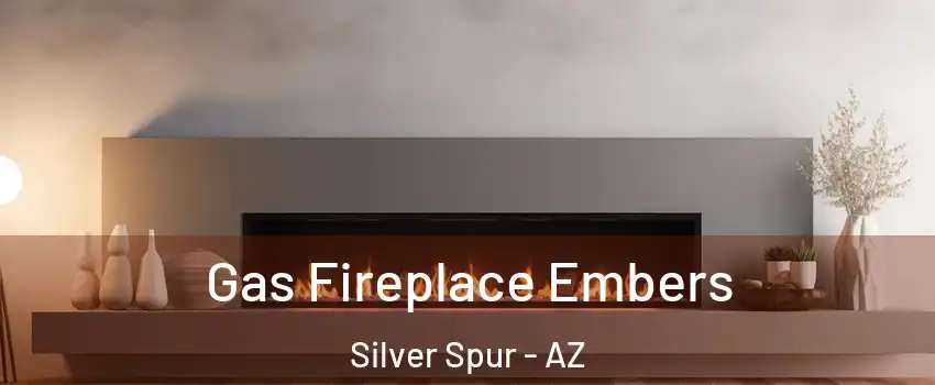 Gas Fireplace Embers Silver Spur - AZ