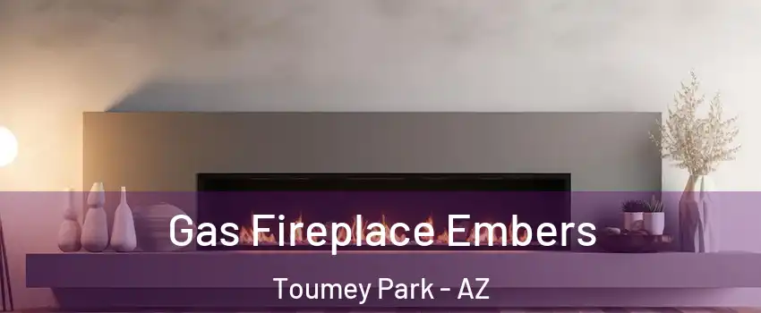 Gas Fireplace Embers Toumey Park - AZ