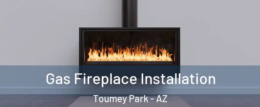 Gas Fireplace Installation Toumey Park - AZ