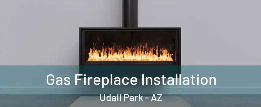 Gas Fireplace Installation Udall Park - AZ