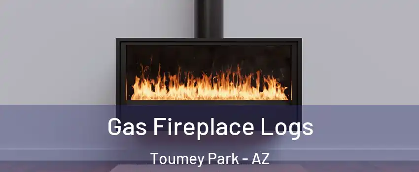 Gas Fireplace Logs Toumey Park - AZ
