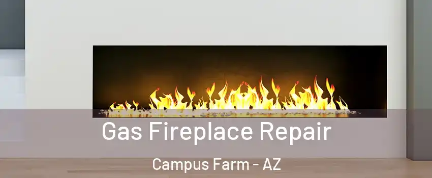 Gas Fireplace Repair Campus Farm - AZ