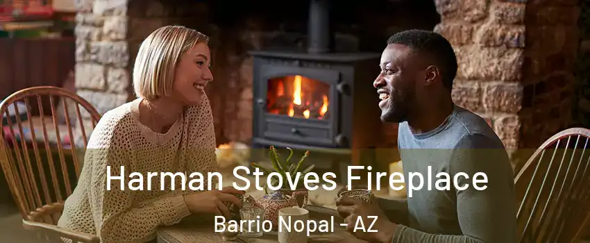 Harman Stoves Fireplace Barrio Nopal - AZ