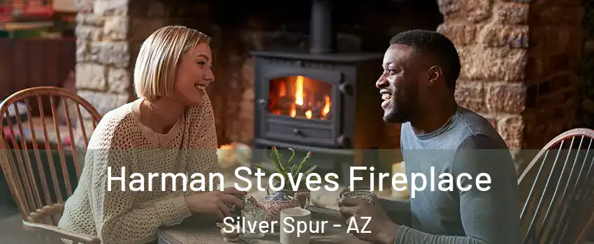 Harman Stoves Fireplace Silver Spur - AZ