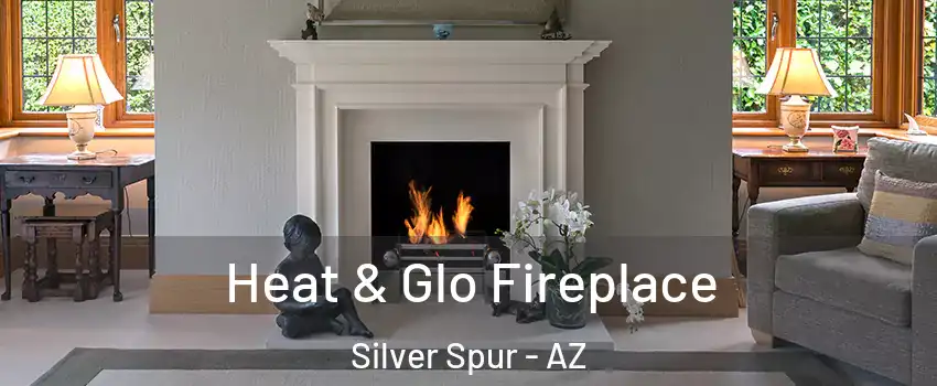 Heat & Glo Fireplace Silver Spur - AZ