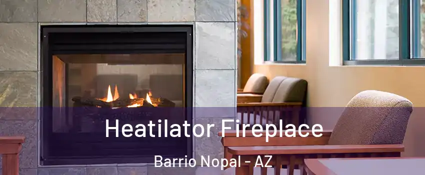 Heatilator Fireplace Barrio Nopal - AZ