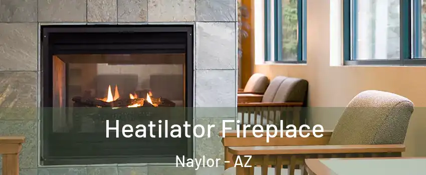 Heatilator Fireplace Naylor - AZ