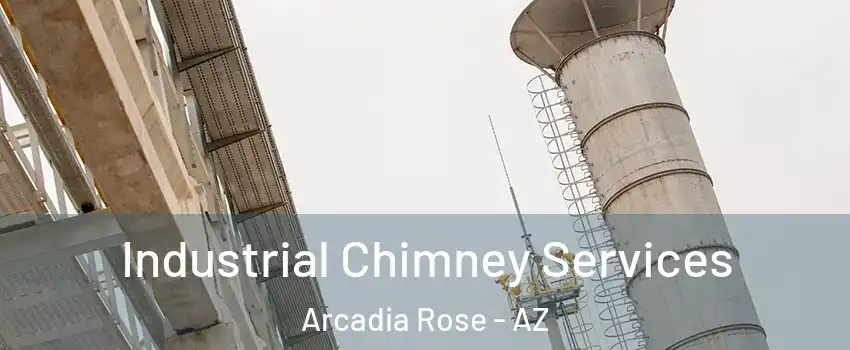 Industrial Chimney Services Arcadia Rose - AZ
