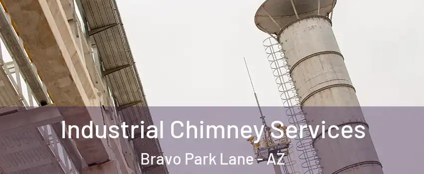Industrial Chimney Services Bravo Park Lane - AZ