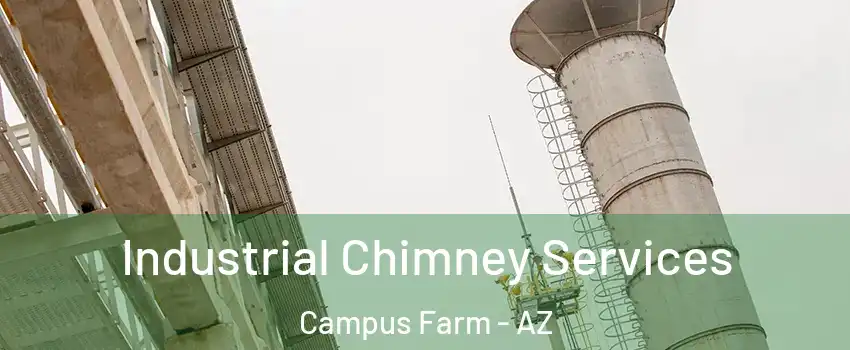 Industrial Chimney Services Campus Farm - AZ
