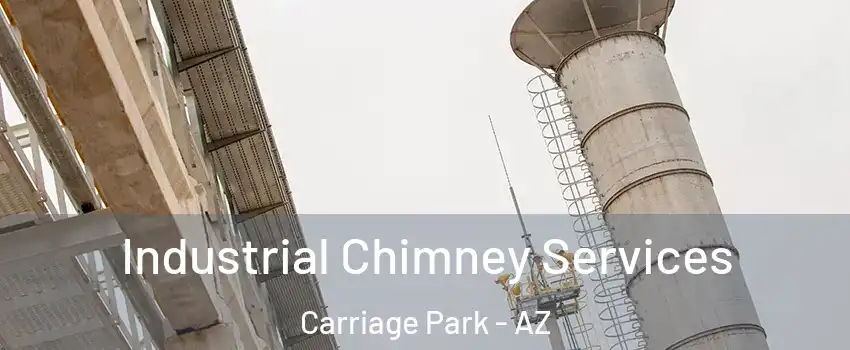 Industrial Chimney Services Carriage Park - AZ