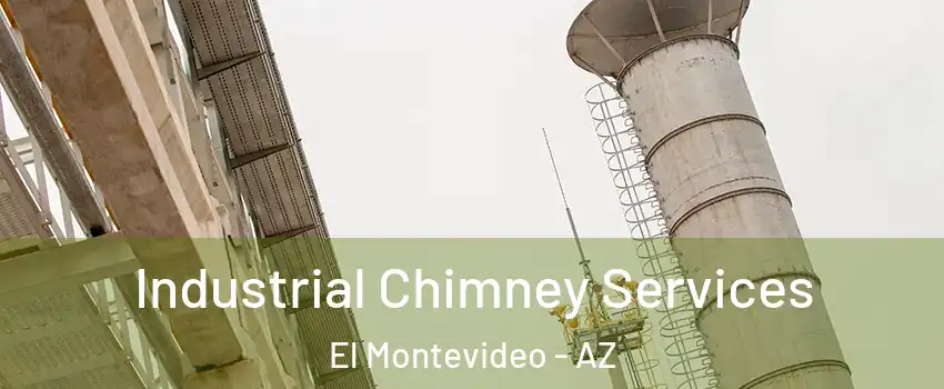 Industrial Chimney Services El Montevideo - AZ