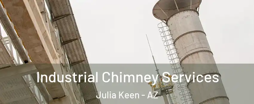 Industrial Chimney Services Julia Keen - AZ