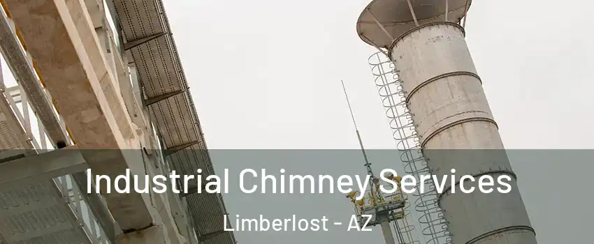 Industrial Chimney Services Limberlost - AZ