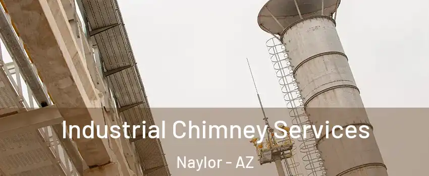 Industrial Chimney Services Naylor - AZ