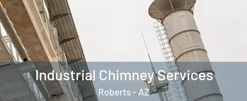 Industrial Chimney Services Roberts - AZ