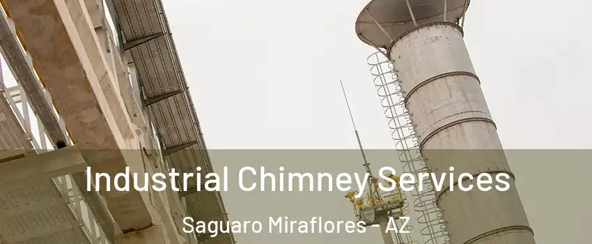 Industrial Chimney Services Saguaro Miraflores - AZ