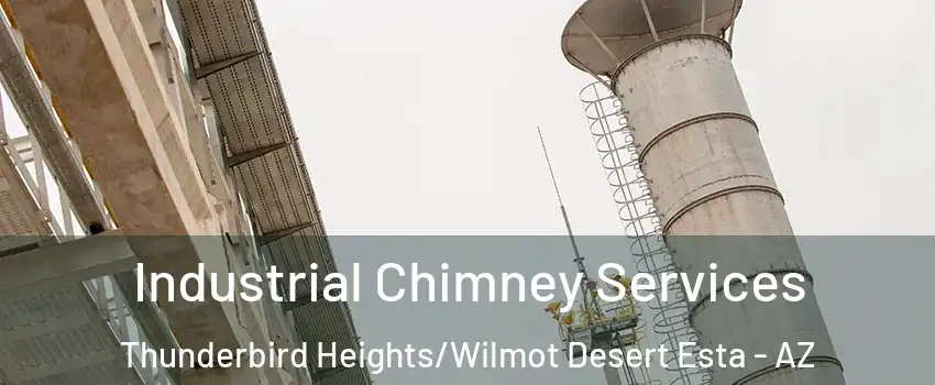 Industrial Chimney Services Thunderbird Heights/Wilmot Desert Esta - AZ