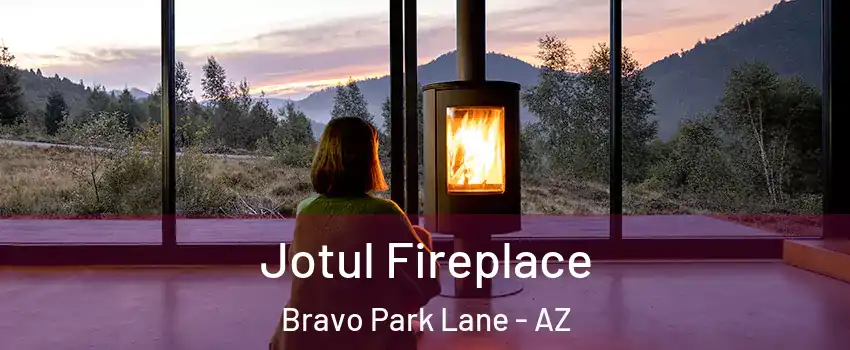 Jotul Fireplace Bravo Park Lane - AZ