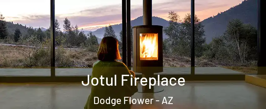 Jotul Fireplace Dodge Flower - AZ
