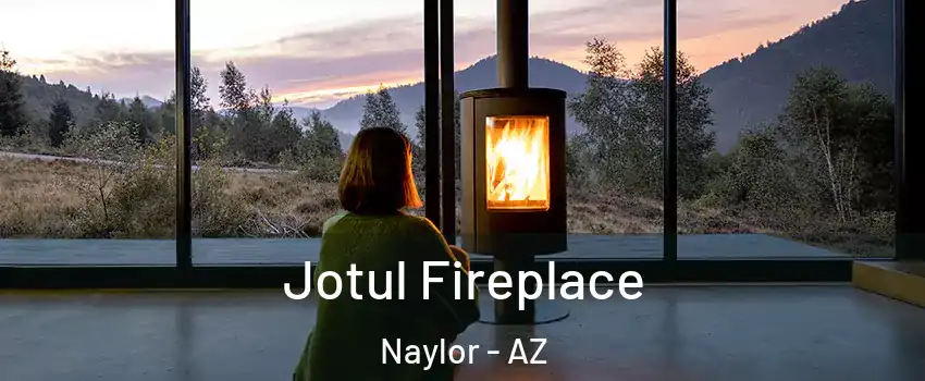 Jotul Fireplace Naylor - AZ