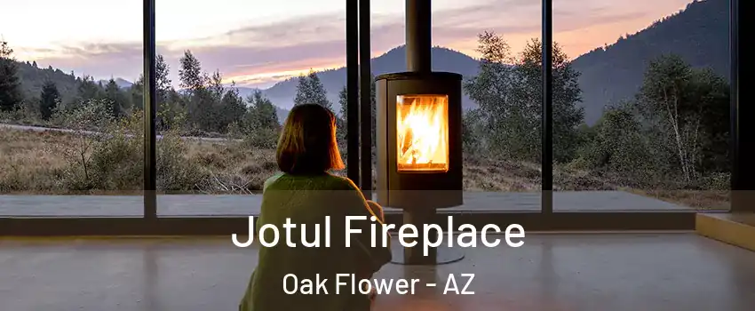 Jotul Fireplace Oak Flower - AZ