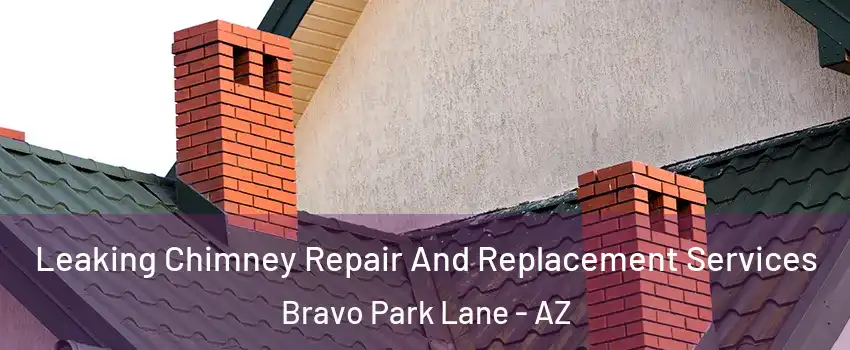 Leaking Chimney Repair And Replacement Services Bravo Park Lane - AZ