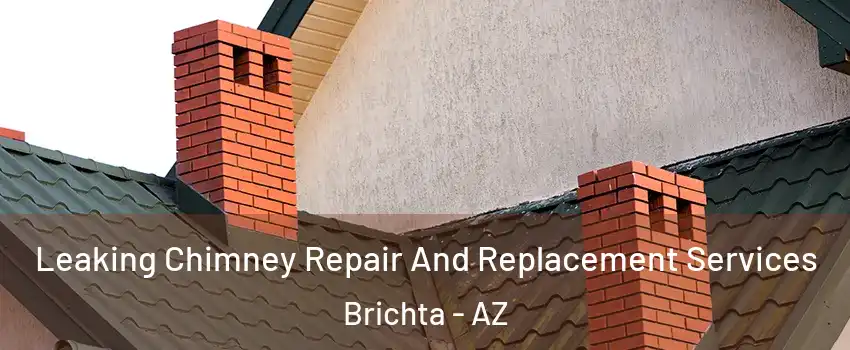Leaking Chimney Repair And Replacement Services Brichta - AZ