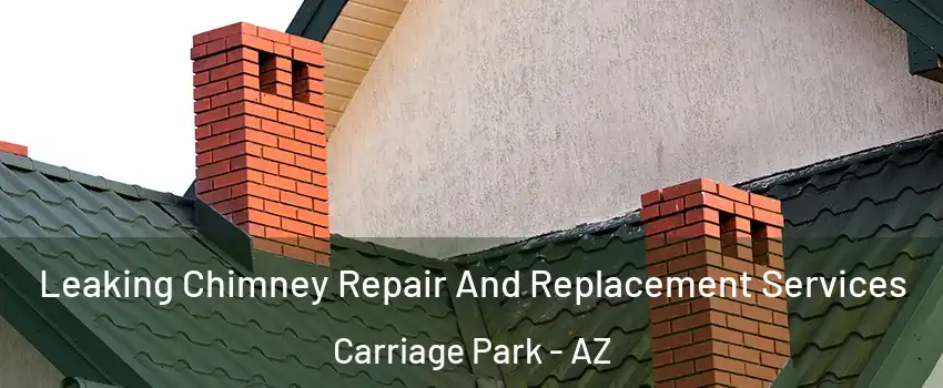 Leaking Chimney Repair And Replacement Services Carriage Park - AZ