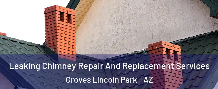 Leaking Chimney Repair And Replacement Services Groves Lincoln Park - AZ