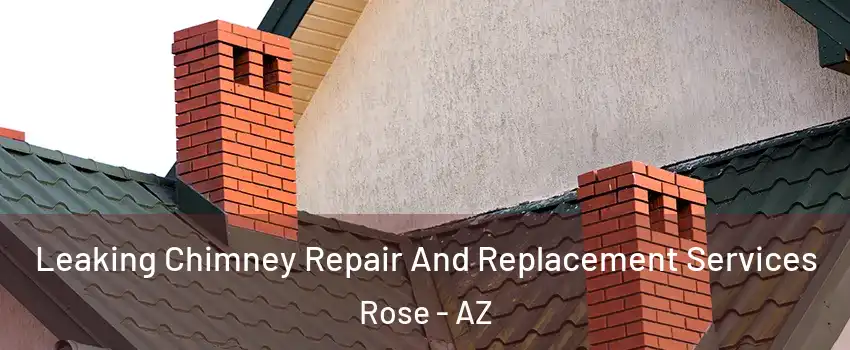 Leaking Chimney Repair And Replacement Services Rose - AZ