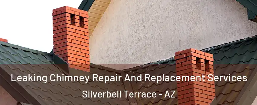 Leaking Chimney Repair And Replacement Services Silverbell Terrace - AZ
