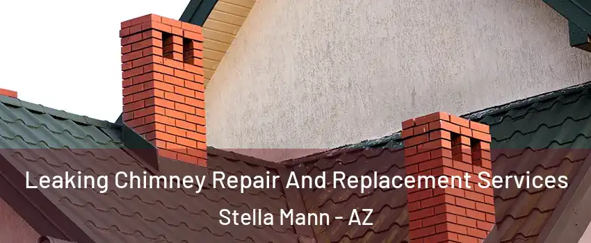 Leaking Chimney Repair And Replacement Services Stella Mann - AZ