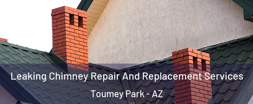 Leaking Chimney Repair And Replacement Services Toumey Park - AZ