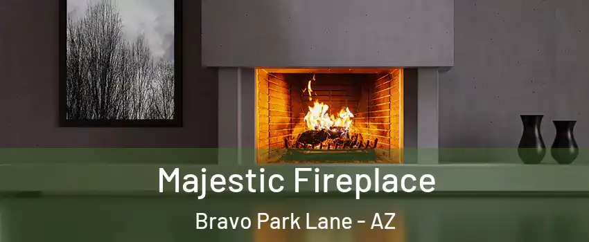Majestic Fireplace Bravo Park Lane - AZ