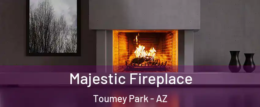 Majestic Fireplace Toumey Park - AZ