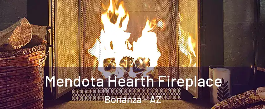 Mendota Hearth Fireplace Bonanza - AZ