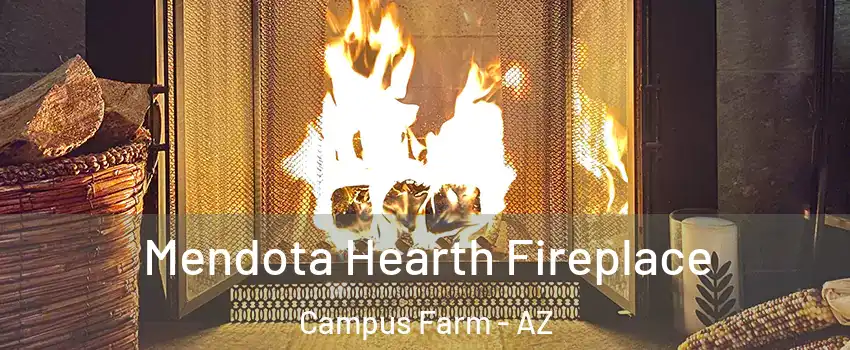 Mendota Hearth Fireplace Campus Farm - AZ
