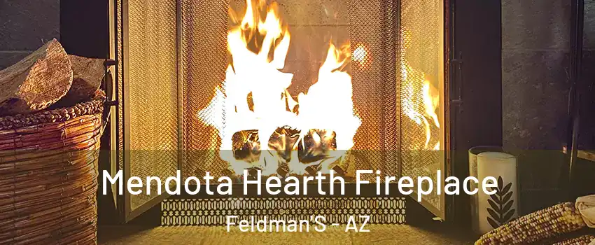 Mendota Hearth Fireplace Feldman'S - AZ
