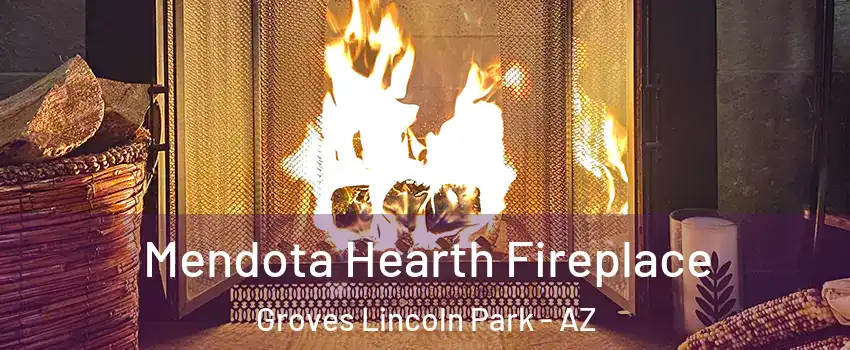 Mendota Hearth Fireplace Groves Lincoln Park - AZ