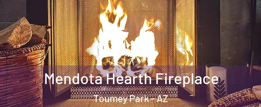 Mendota Hearth Fireplace Toumey Park - AZ