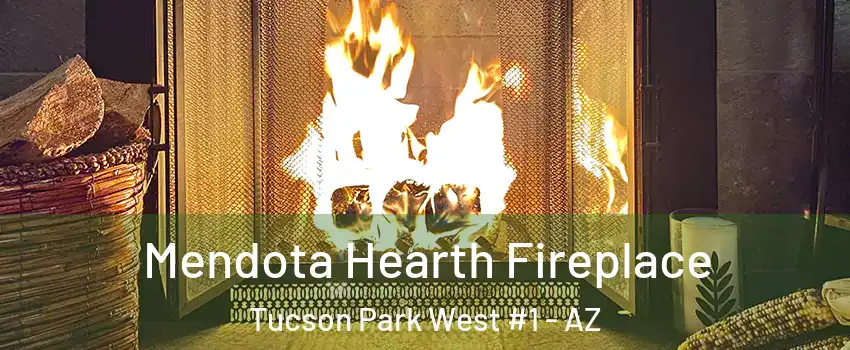Mendota Hearth Fireplace Tucson Park West #1 - AZ