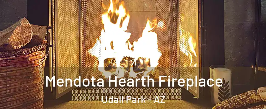 Mendota Hearth Fireplace Udall Park - AZ