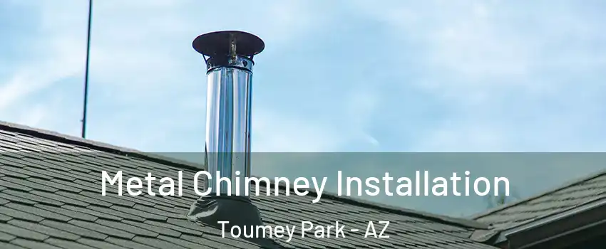 Metal Chimney Installation Toumey Park - AZ