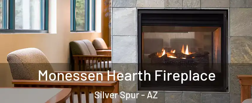 Monessen Hearth Fireplace Silver Spur - AZ