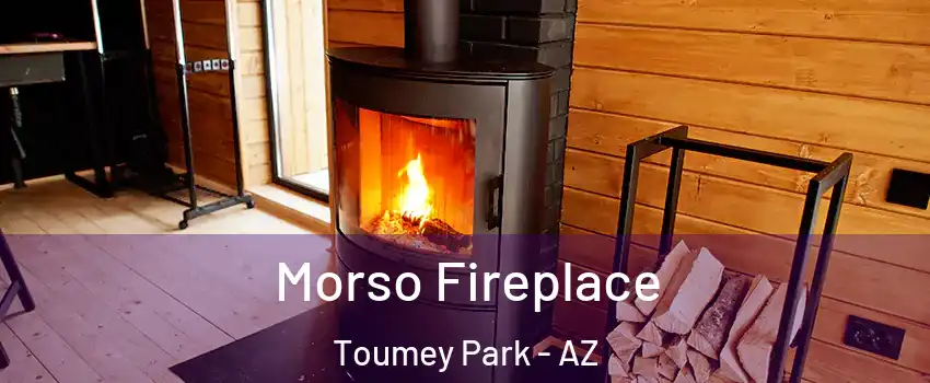 Morso Fireplace Toumey Park - AZ