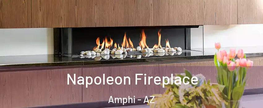 Napoleon Fireplace Amphi - AZ